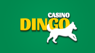 Casino Dingo